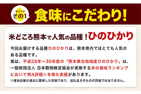 【3ヶ月定期便】令和6年産 新米 定期便 ひのひかり 10kg 《申込み翌月から発送》白米 ｜人気米 熊本県産米 お米 生活応援米