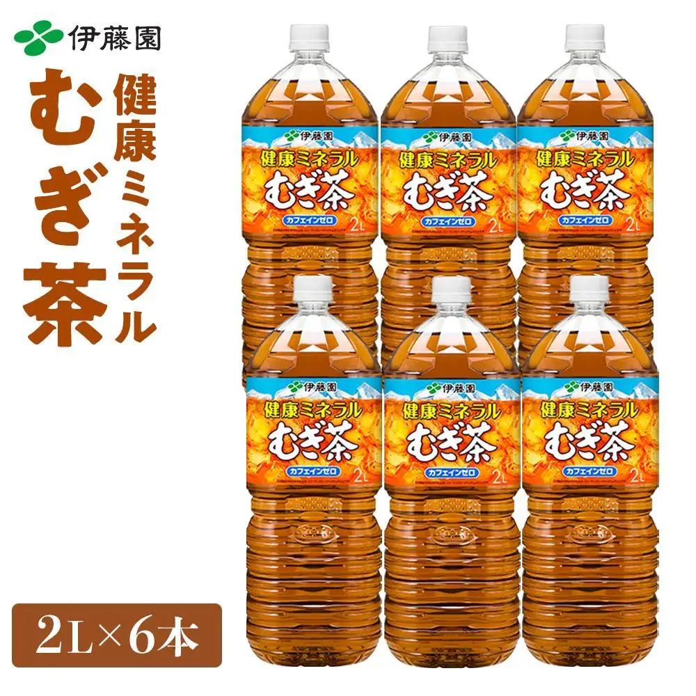 【9月30日受付終了】定期便 毎月 全12回 健康ミネラル麦茶 2L×6本 １ケース 12ヶ月定期便