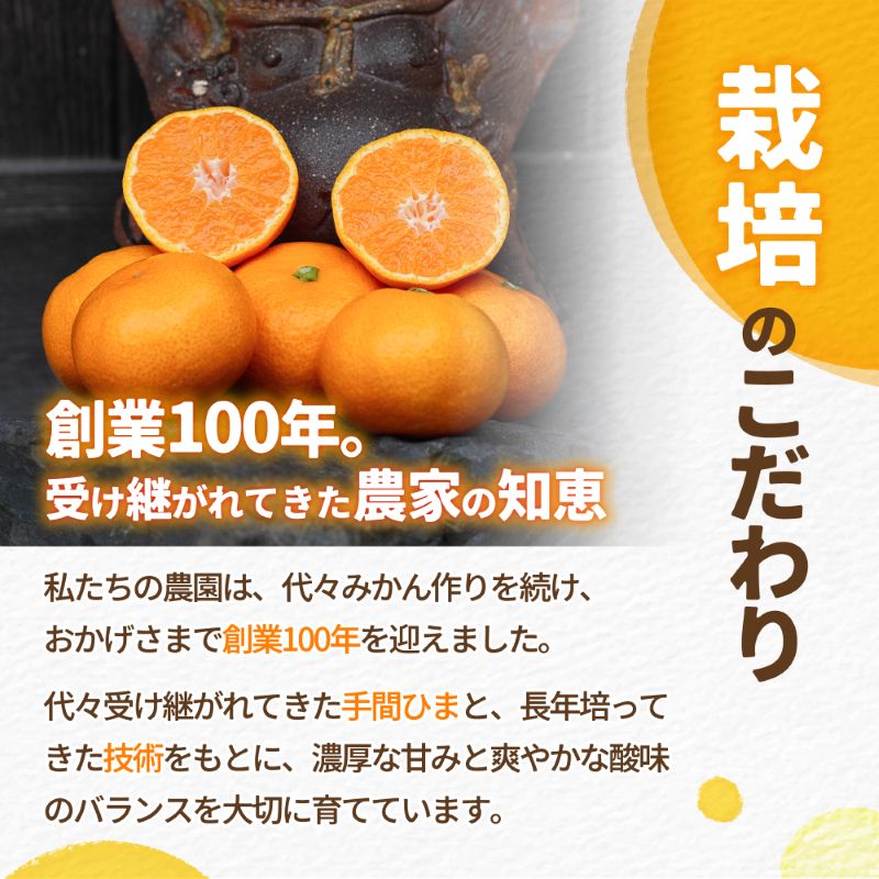 有田 みかん 小玉 5kg / 温州みかん 有田みかん 甘い 小粒 和歌山 柑橘 ※2026年12月上旬〜翌年1月上旬に順次発送 【ymk004-5-sA】