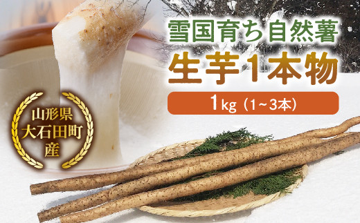 山形県産 雪国育ち自然薯 生芋1本物 1kg（1～3本） F2Y-5112