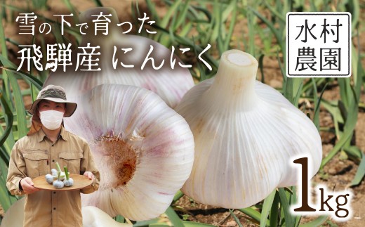 《先行予約》飛騨産 にんにく 1kg ニンニク【7月中旬〜12月発送】水村農園 [Q3219]