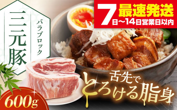 
三元豚 バラブロック600g《喜茂別町》【平田牧場】 肉 豚肉 バラ ブロック 煮豚 酢豚 煮物 冷凍配送 [AJAP072]
