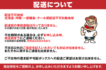 【ほたるいか醤油漬け1kg(500g×2)】兵庫県香住で水揚げされた新鮮なほたるいかを使用 当社独自の製法で丸大豆醤油にじっくり漬込み 新鮮なほたるいかを丸ごと使用 深い味わいのワタ 大容量のほたるい