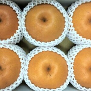 【久和田農園】 甘味がぎゅっと あたご梨 2kg なし フルーツ 梨 果物 広島県三原市 034009