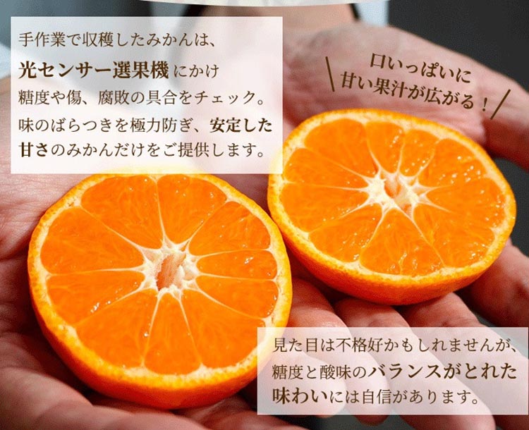 家庭用 完熟 有田みかん10kg+250g（傷み補償分）サイズ混合 