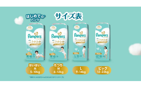 [パンツタイプ] パンパース 「 肌いち 」 4パックと おしりふき 4パック[ Pampers おむつ オムツ ] L：40枚