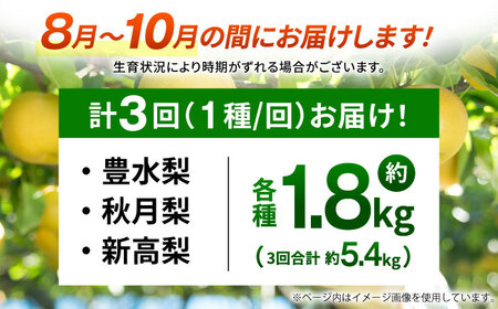 【先行予約】【3回定期便】 梨 約1.8kg 計約5.4kg（豊水・秋月・新高）  梨 ナシ フルーツ 果物 【日本フルーツ株式会社】[ZFJ069]
