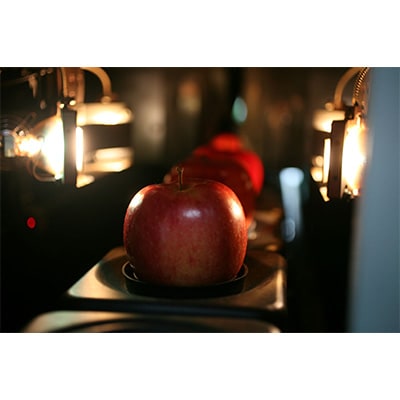 【発送月固定定期便】R7年1月発送開始 青森県産りんご　月替わりでお届けします全3回【配送不可地域：離島】