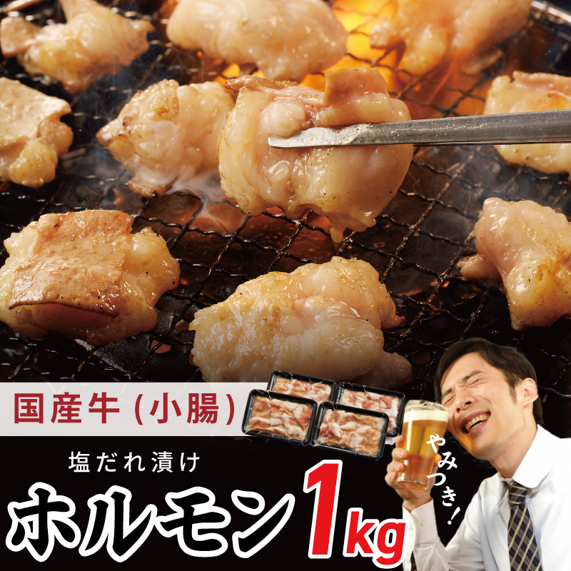 国産 牛肉 ホルモン 1kg 塩だれ漬け 焼肉用 小分け 250g×4P【牛肉 焼肉用 焼くだけ 小分け BBQ やきにく 数量限定】 G4713