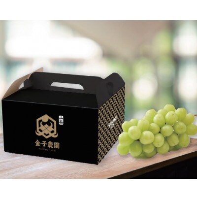 【本場山梨の旬を堪能】今、話題のハウスオブシャインマスカット全国に先駆け2025年6月中旬発送【配送不可地域：離島】