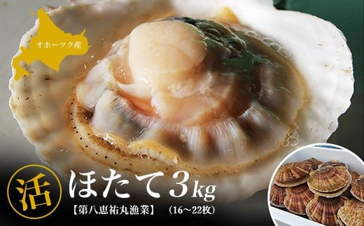 オホーツク産 『活』 ほたて 3kg（16～22枚） 【 ふるさと納税 人気 おすすめ ランキング 魚介類 貝 帆立 ホタテ ほたて 帆立貝柱 ホタテ貝柱 ほたて貝柱 北海道 佐呂間町 送料無料 】 SRMN001