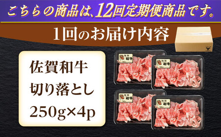 【12回定期便】佐賀和牛 切り落とし 計1kg(250g×4p)【一ノ瀬畜産】[NAC167]