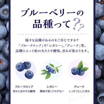 ふるさと納税 余市町 【先行受付】青果ブルーベリーおまかせ2品種食べ比べセット1kg_Y111-0008 |  | 01