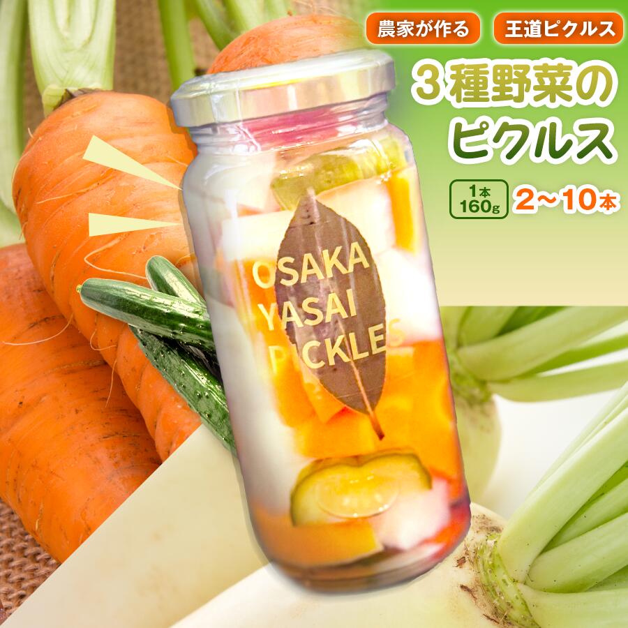 【ふるさと納税】＜選べる容量＞＜農家が作る 王道ピクルス！＞3種野菜のピクルス(2本/3本/5本/6本/10本)｜常温　常温保存 酢漬け 漬物 おかず サイドディッシュ ヘルシー カラフル おつまみ 【m104-05】【エントランスファーム】