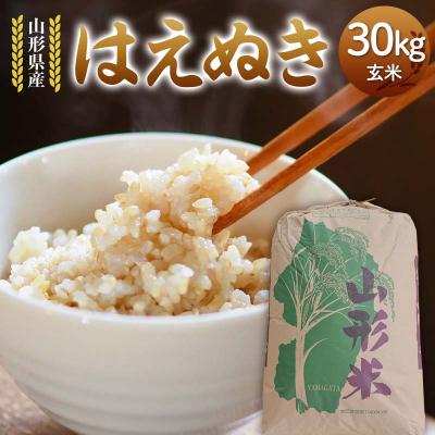 ふるさと納税 戸沢村 令和7年度 山形県産 はえぬき 玄米 30kg F7W-0268