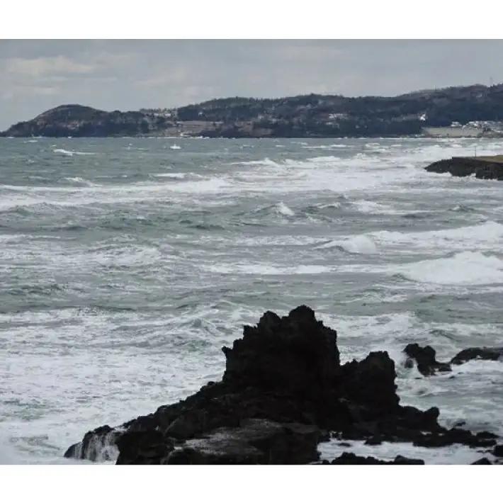 天然 岩のり 2枚 遊佐町吹浦産 遊佐沖 東北 山形県 遊佐町 庄内地方 日本海 お取り寄せ おうち時間 海苔 岩海苔 [1622]