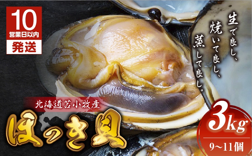 
                  【10営業日以内に発送】北海道苫小牧産 ほっき貝 3kg（9～11個）　T032-001
                