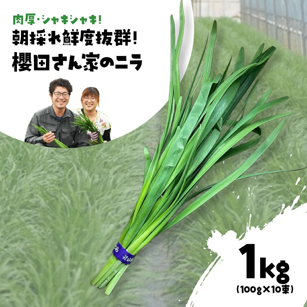 【ふるさと納税】【先行予約】【12月から発送】肉厚・シャキシャキ! 朝採れ鮮度抜群! 櫻田さん家のニラ 1kg(100g×10束) ふるさと納税 にら ニラ 朝採れ 新鮮 肉厚 シャキシャキ 農家直送 鮮度抜群 千葉県 山武市 送料無料 SMCS001