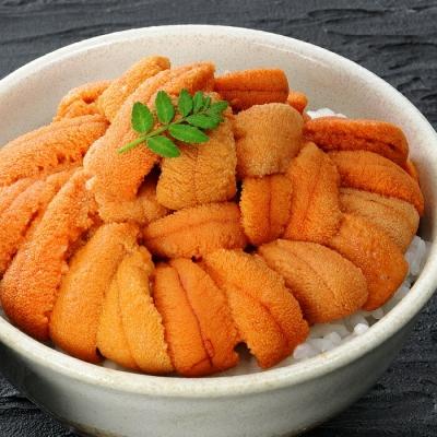 ふるさと納税 根室市 エゾバフンウニ塩水パック50〜60g×2P[11月中旬以降発送] A-81022