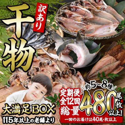 ふるさと納税 佐伯市 <定期便・全12回 (毎月)>訳あり 干物大満足BOX (480尾以上)