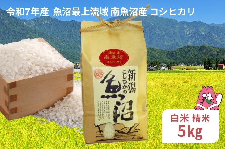 
            令和7年産 5kg〈白米〉 魚沼最上流域 南魚沼産 コシヒカリ 精米したてのお米をお届け 【湯沢産 コシヒカリ】
          