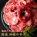 【ふるさと納税】 牛肉 牛タン 薄切り おすすめ 秘伝だれ 500g 2パック 特選 神様の牛タン 秘伝たれ漬け 1kg 焼肉 塩だれ バーベキュー ギフト お祝い お肉の神様