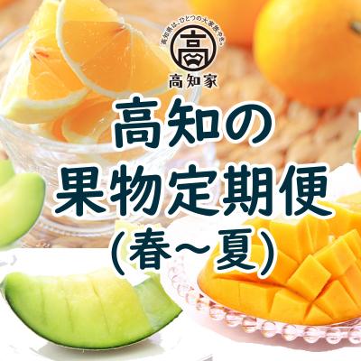 ふるさと納税 高知県 高知の果物定期便(春〜夏)【E06015】