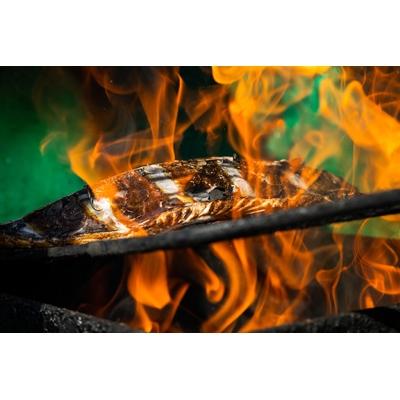 ふるさと納税 南国市 土佐沖一本釣り戻りカツオわら焼き生たたき【2節、12人前1.3kg〜1.5kg】 |  | 02