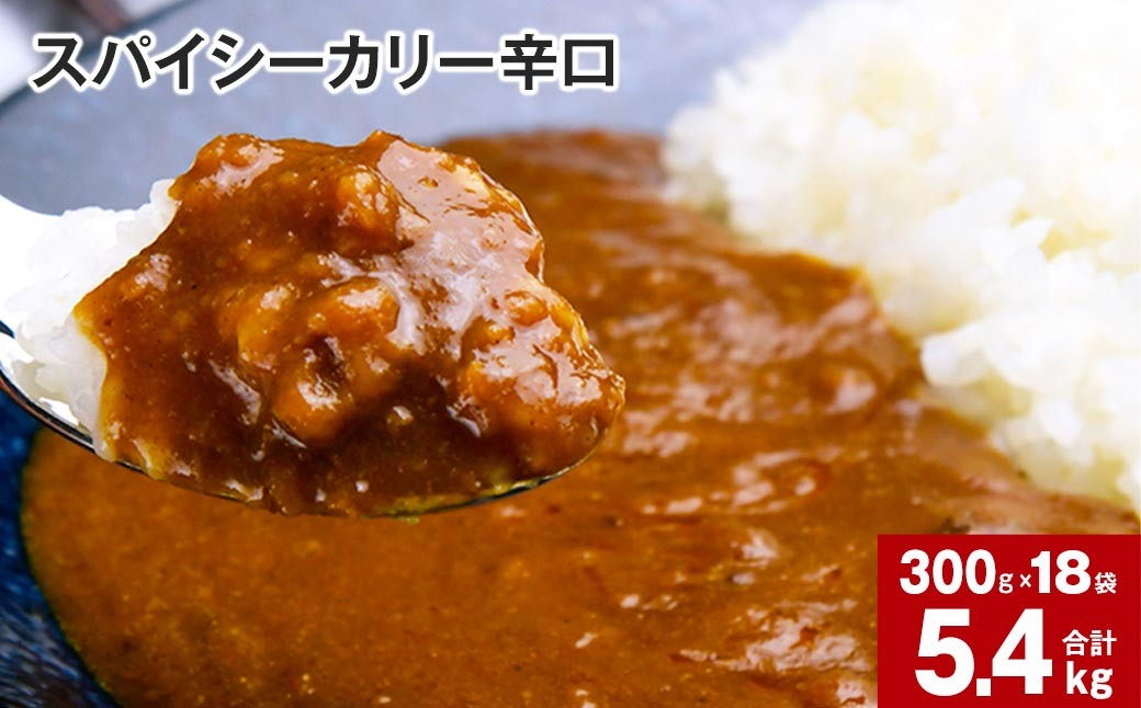 
            スパイシーカリー辛口(レトルト) 300g×18袋
          