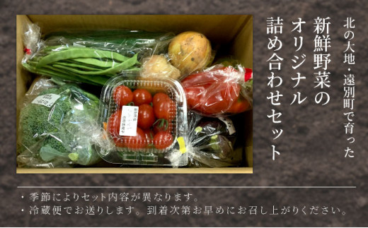 北海道 遠別町 新鮮野菜 オリジナル詰め合わせセット 野菜 フレッシュ市場「花菜夢」 やさい 緑黄色野菜 有機野菜 葉物野菜 新鮮 採れたて 産地直送 送料無料 人気 おすすめ お取り寄せ ランキング 北海道産 国産 北海道遠別町