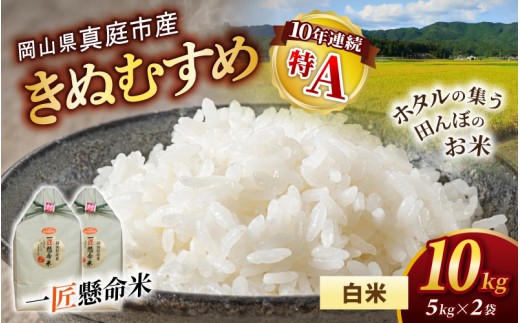 
                  令和8年産 真庭市産 きぬむすめ 白米 10kg / お米 国産 岡山県 米 人気 ブランド 2026年産 【tkns006-02】
                