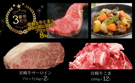 ブランド黒毛和牛＜宮崎牛＞贅沢肉定期便 3ヵ月コース 合計23.2kg ※一回目は90日以内に発送【G15】