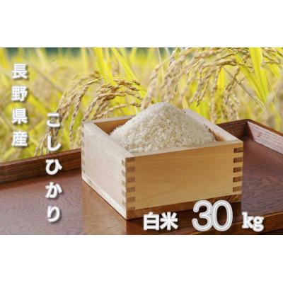 ふるさと納税 千曲市 令和7年長野県産 こしひかり 白米30キロ(10キロ×3袋)
