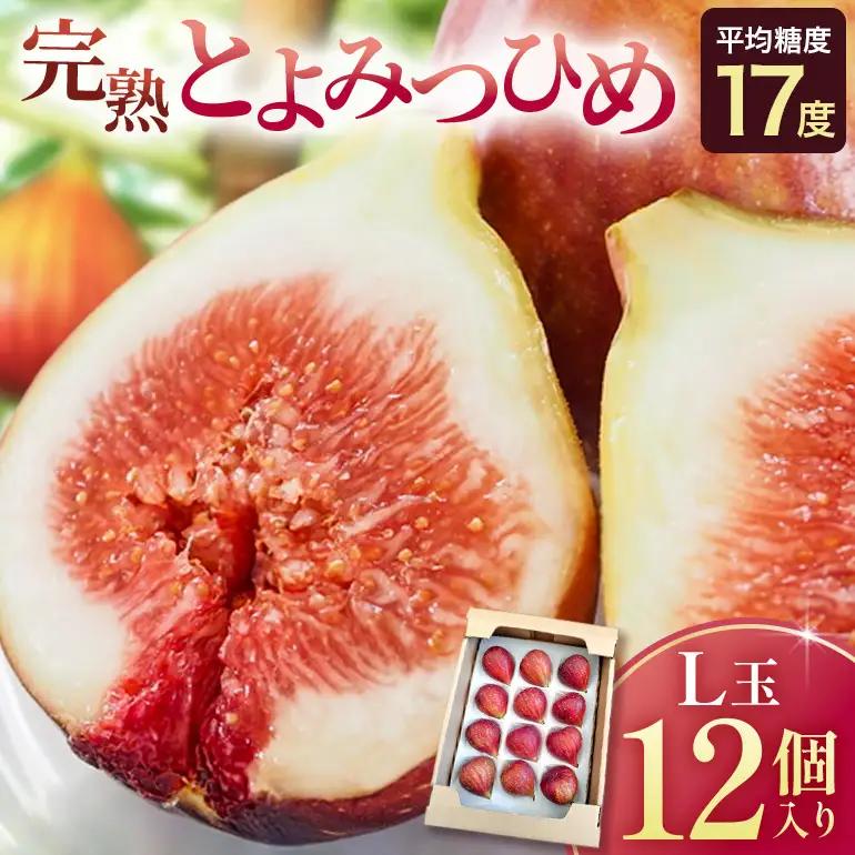 【先行予約】いちじく とよみつひめ L玉 12個 吉瀬森果園
