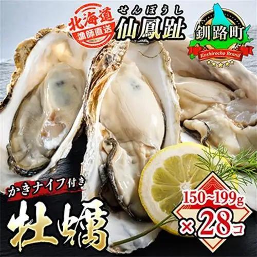 仙鳳趾名産 牡蠣 150～199g×28個+かきナイフ付K4-4_仙鳳趾 センポウシ せんぽうし 牡蠣 カキ 生食用 殻付き 牡蠣 絶品 産地直送 北海道 釧路町 釧路超 特産品 _【配送不可地域：離島・沖縄県・信越、北陸・東海・近畿・中国・四国・九州】【1294862】