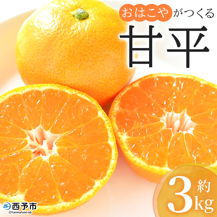 ＜おはこやがつくる 甘平 約3kg（L～3Lサイズ）＞ 果物 フルーツ 柑橘類 かんぺい カンペイ オレンジ みかん ミカン サイズ混合 おいしい 甘い 愛媛限定栽培 特産品 産地直送 西宇和 愛媛県