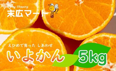 【先行予約】伊予柑 約5kg | みかんみかんみかんみかんみかんみかん【SHM005】