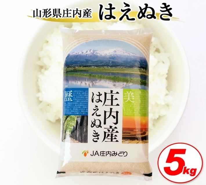 令SB0784　和7年産【精米】庄内産 はえぬき　5kg×1袋 JM