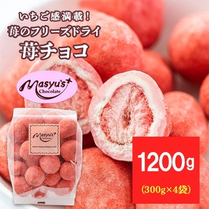苺のフリーズドライ苺チョコ1200g 300gx4袋 4月～10月発送 チョコレート チョコ スイーツ お菓子 おかし いちご イチゴチョコ イチゴ パウダー ギフト プレゼント 兵庫県 伊丹市