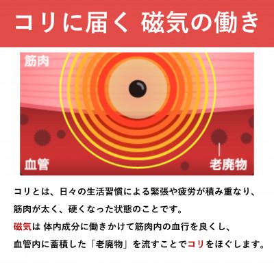 ふるさと納税 天理市 ピップエレキバン　130mT24粒 2個セット |  | 02