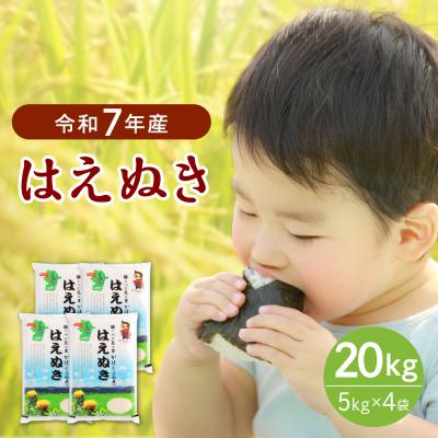 ふるさと納税 河北町 【令和7年産米】2026年3月下旬発送 はえぬき20kg 山形県産 【JAさがえ西村山】