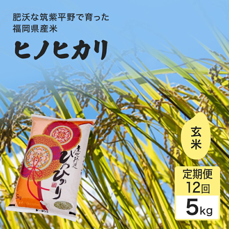 【ふるさと納税】定期便 12回 米 1粒からこだわる 1等級米 ヒノヒカリ 玄米5kg お米 コメ お楽しみ 12ヶ月　小郡市