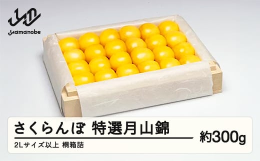 《先行予約》2026年 山形県産 特選月山錦 桐箱詰め約300g やまのべ多田耕太郎のさくらんぼ サクランボ F20A-051