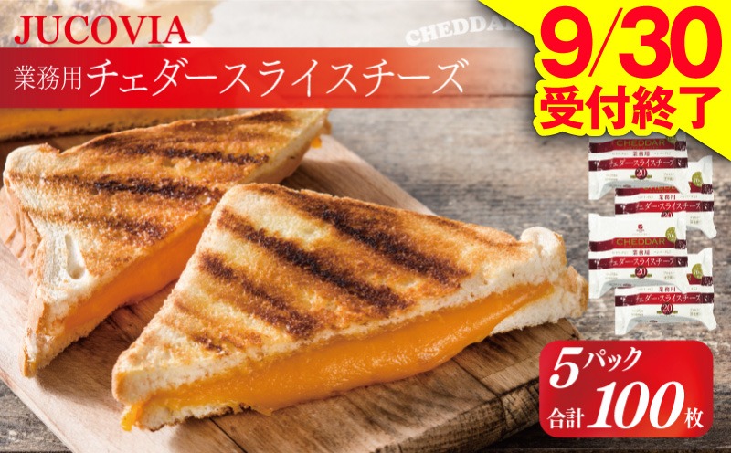 010B1639 【9/30受付終了】JUCOVIA 業務用チェダースライスチーズ 100枚【ムラカワチーズ 小分け 20枚×5P 普段使い 高評価 ちーず】