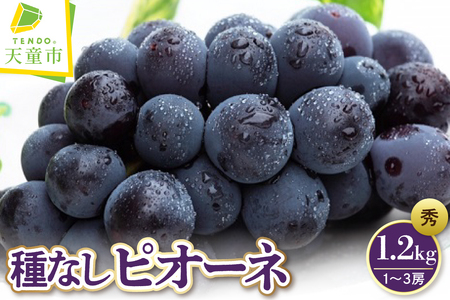 ぶどう 種なし ピオーネ 1.2kg フルーツ 果物 山形 ブドウ