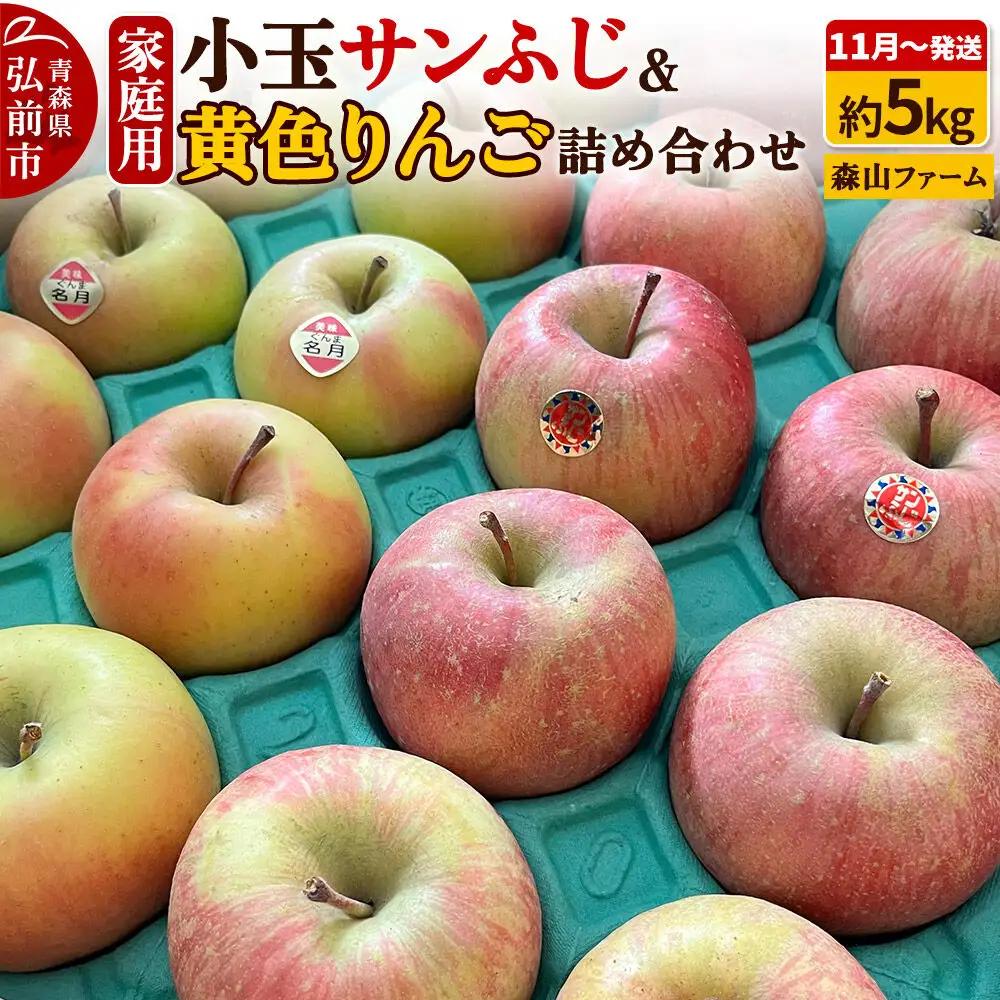 りんご サンふじ＆黄色りんご 家庭用 約5kg 小玉 11月発送