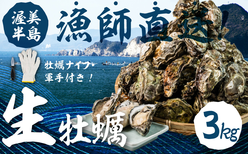 
            【先行予約】殻付き 生牡蠣 3kg 加熱用 軍手・牡蠣ナイフ付 牡蠣 カキ かき 生 殻付牡蠣 フライ 鍋 バーベキュー BBQ 海鮮 魚介 魚貝 貝 魚介類 新鮮 渥美半島 田原市 愛知県 国産 海産物 オイスター 海の ミルク 軍手 牡蠣 ナイフ 付 冬 ～ 春
          