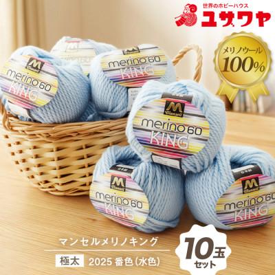 ふるさと納税 江南市 マンセルメリノキング(極太) 2025番色(水色) 10玉セット
