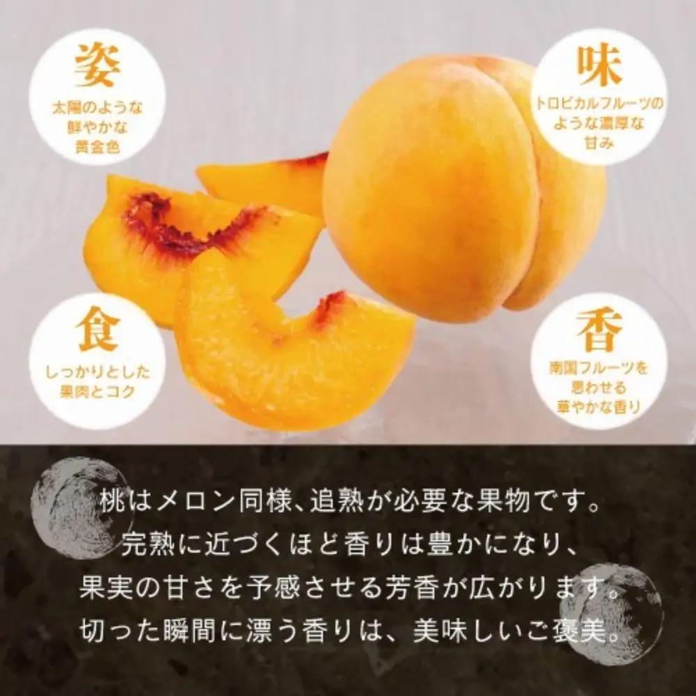 【先行予約】 白桃・黄金桃食べ比べ４玉【8月下旬～9月上旬発送】【021-a024】