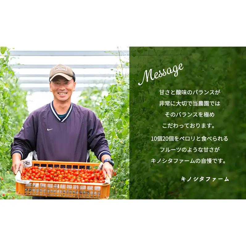 糖度8度以上 ミニトマト アマメイド 3kg 高糖度 定期 3回 2026年10月～順次出荷